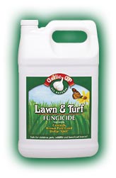 Lawn & Turf